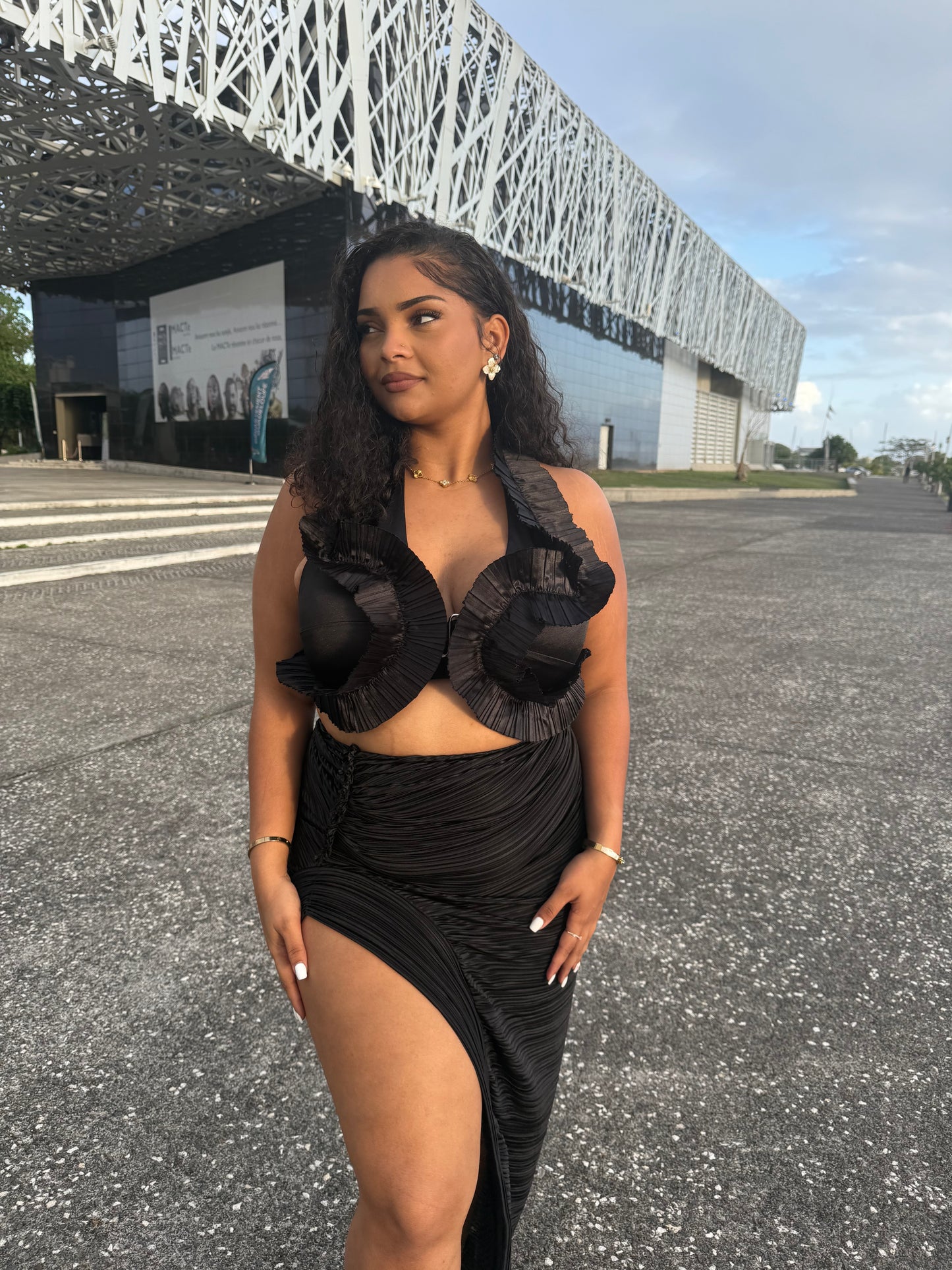 ENSEMBLE LYA